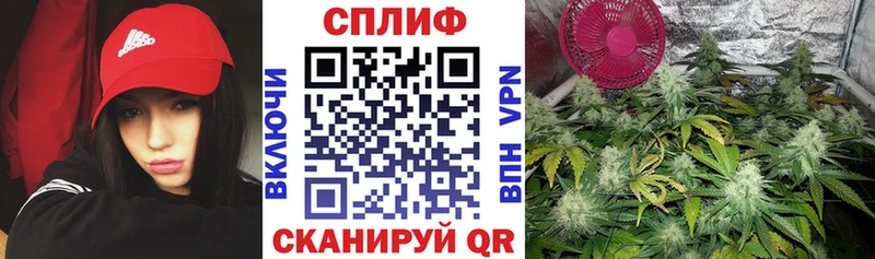 Бошки Шишки SATIVA & INDICA Фатеж